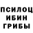 Галлюциногенные грибы Cubensis Polina Kovtun