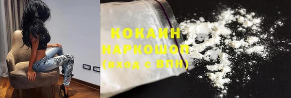 соль ск Михайлов