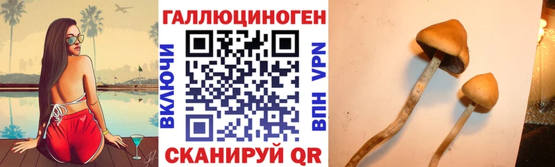 Псилоцибиновые грибы ЛСД  Северодвинск 