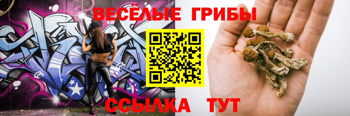 Северодвинск  Псилоцибиновые грибы мухоморы  Галлюциногенные грибы GOLDEN TEACHER  Вход с VPN 